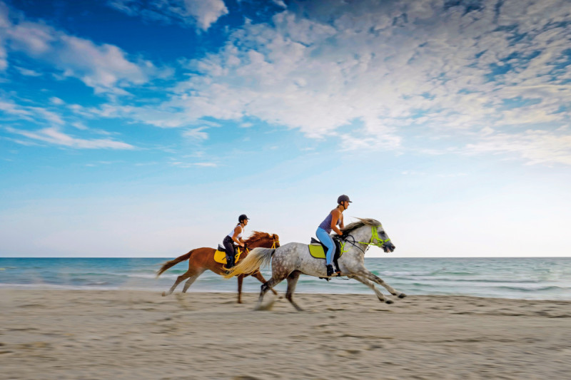 Aldiana Club Djerba Atlantide