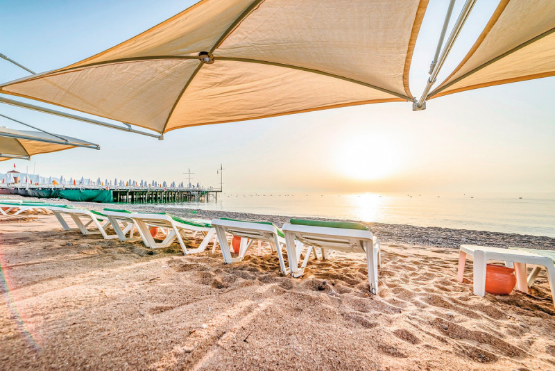 Gypsophila Club Marine