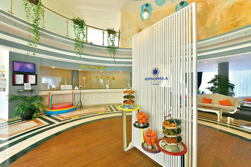 Gypsophila Club Marine