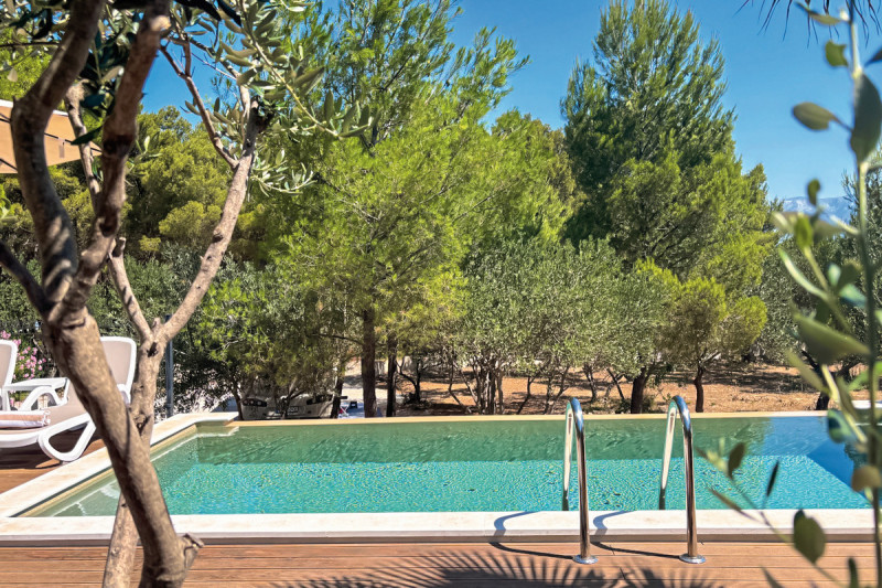 Gemeinschaftspool Tiny House