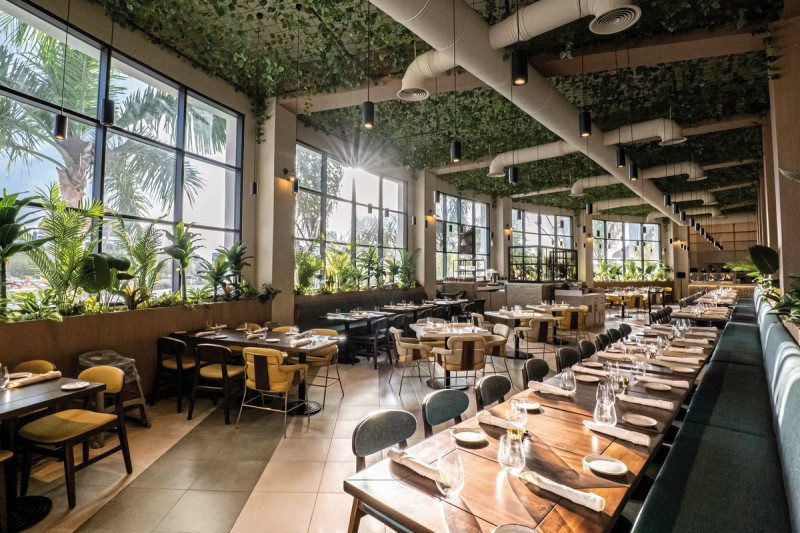 Hard Rock Hotel & Casino Punta Cana ●●●●●