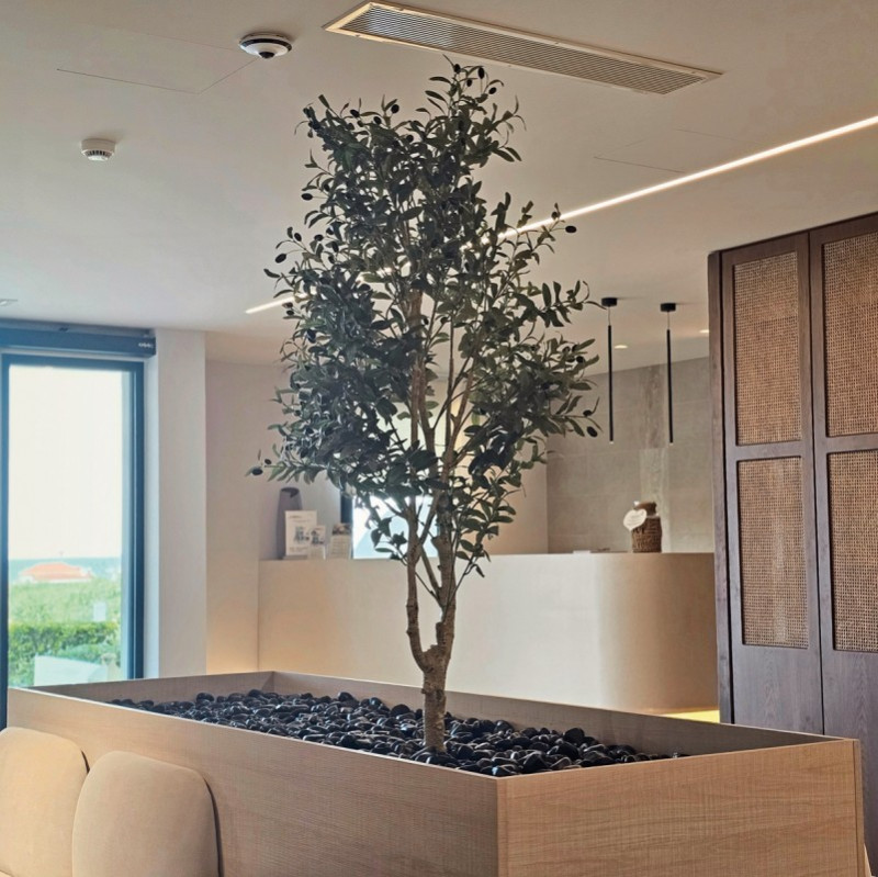 Ocean Beach ●●●●