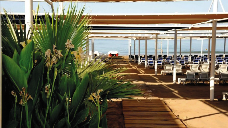 Dream Family Club ●●●●○