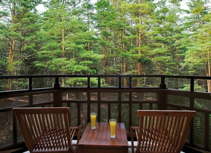 Wohnbeispiel Doppelzimmer Nature