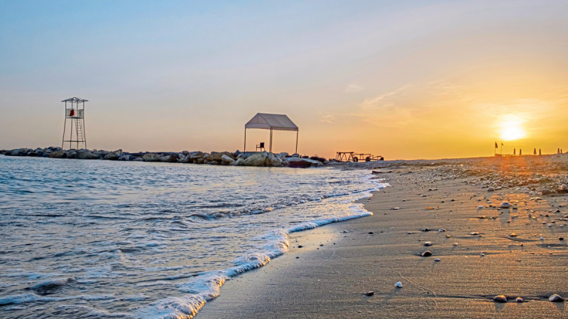 Aydinbey Gold Dreams