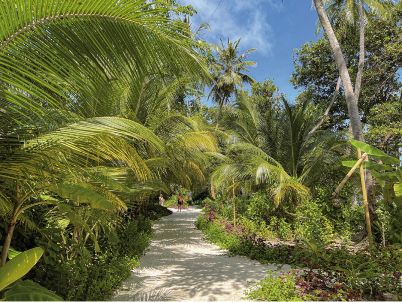 Malahini Kuda Bandos ●●●●