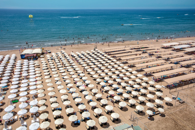 Trendy Verbena Beach