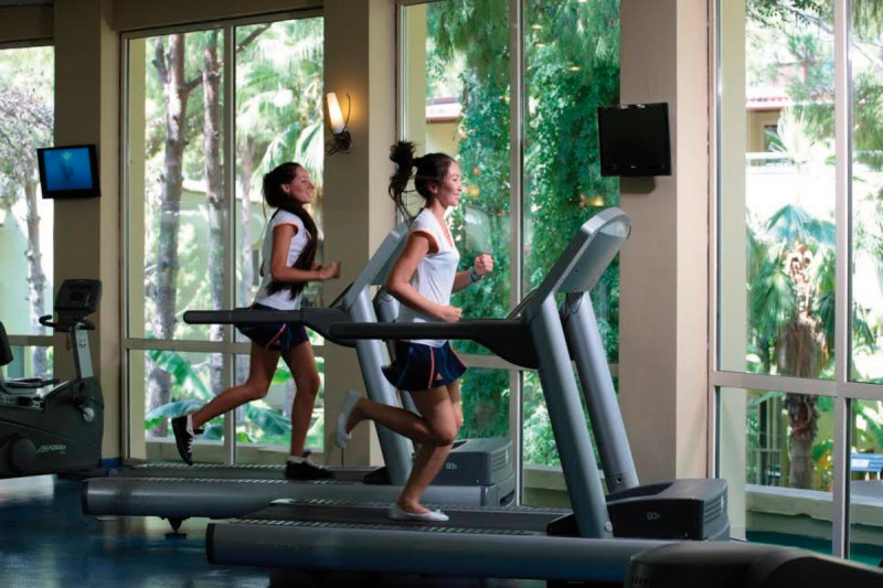 Gypsophila Club Marine