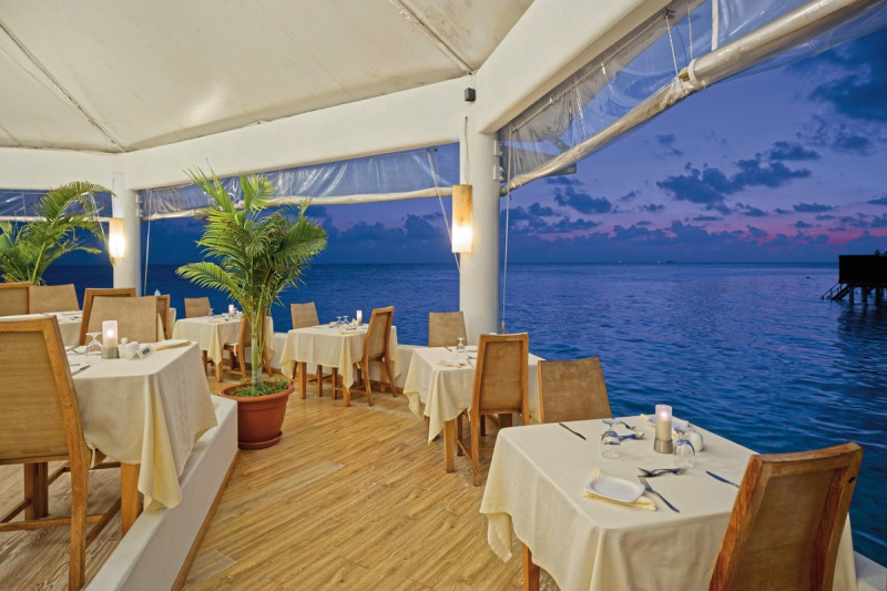 Safari Island Resort & Spa ●●●●