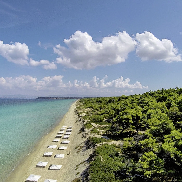 Sani Beach
