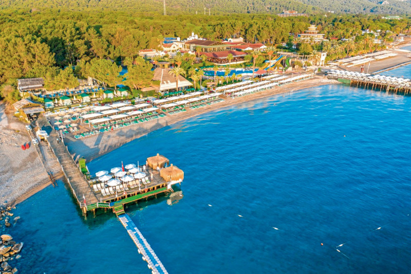 Gypsophila Club Marine