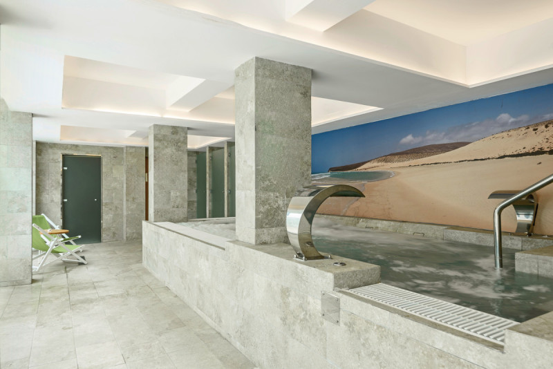 FERGUS Cactus Garden