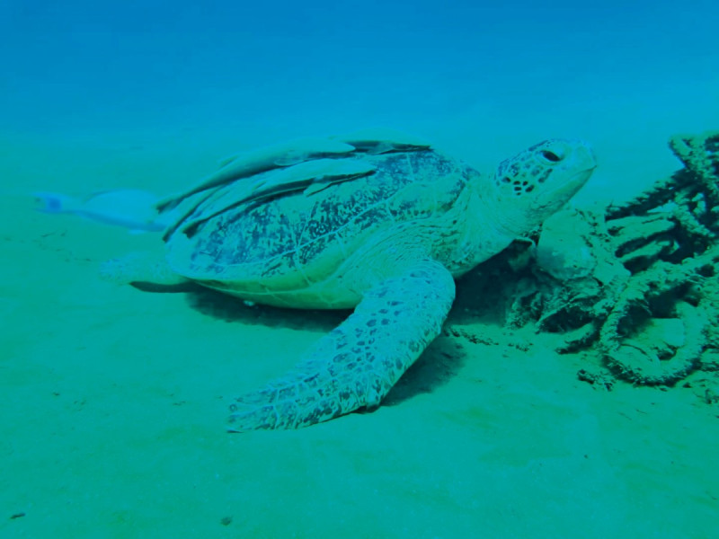 Maritim Jolie Ville Resort & Casino