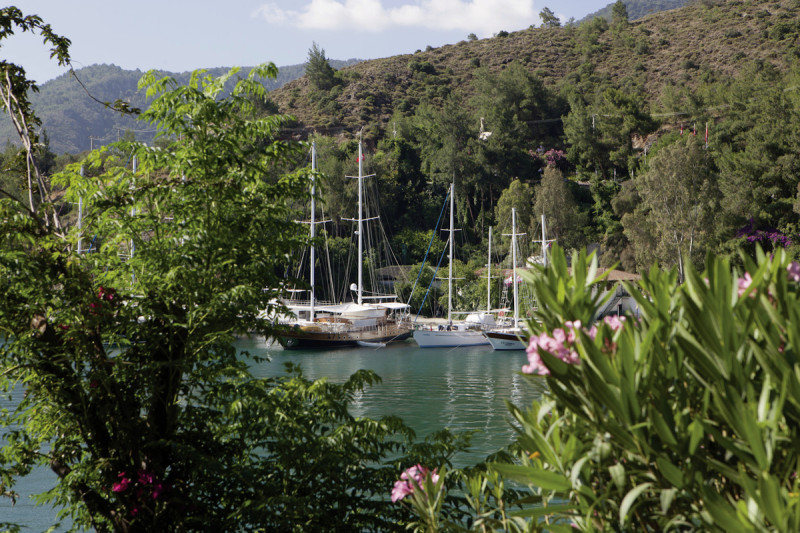 Club & Hotel Letoonia