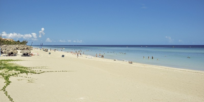 Sol Palmeras ●●●●