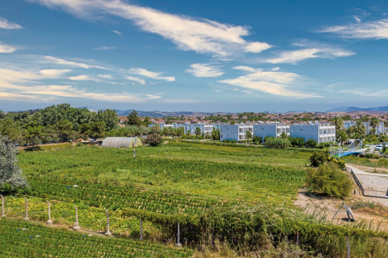 Labranda Lebedos Princess