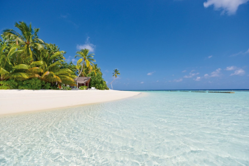 Safari Island Resort & Spa ●●●●