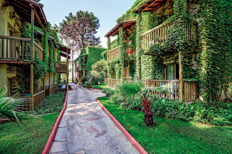 Gypsophila Club Marine