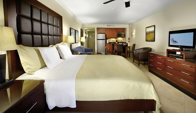 Wohnbeispiel Studio Suite