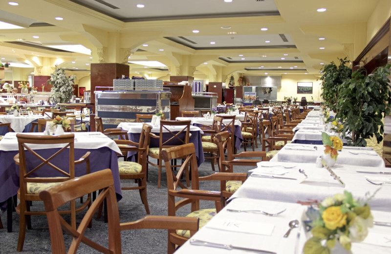 VIK Hotel San Antonio