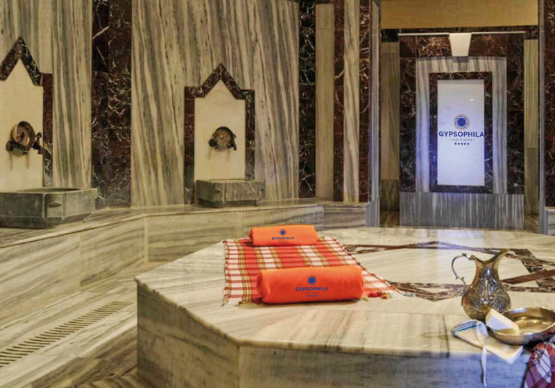 Gypsophila Club Marine