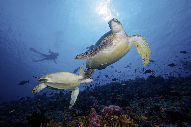 Innahura Maldives Resort