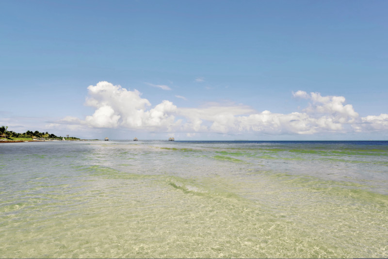 Iberostar Origin Daiquiri