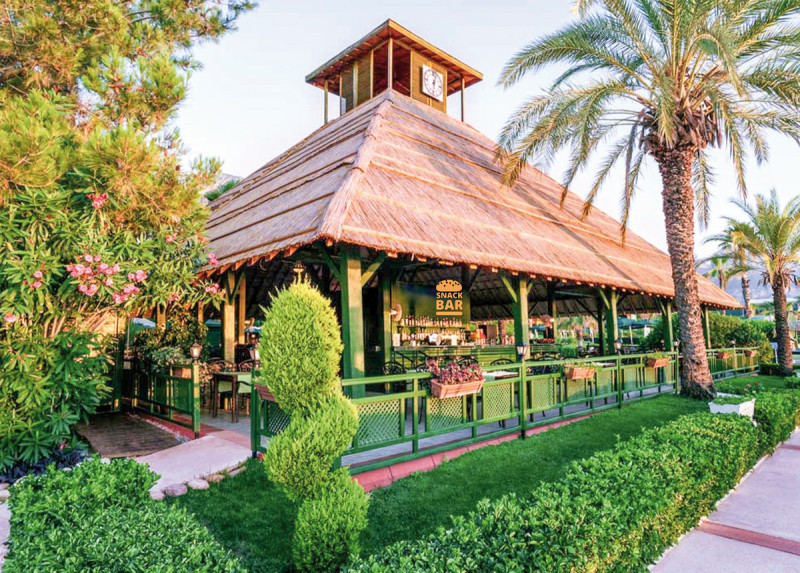 Gypsophila Club Marine