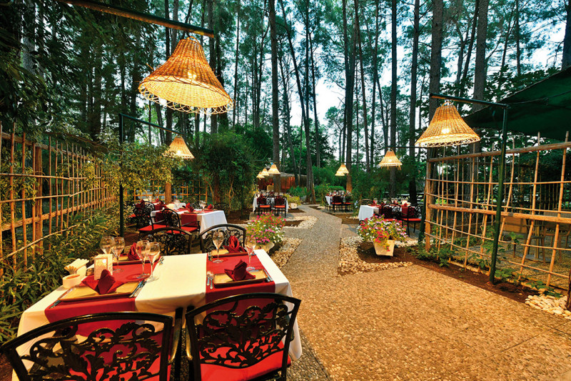 Gypsophila Club Marine