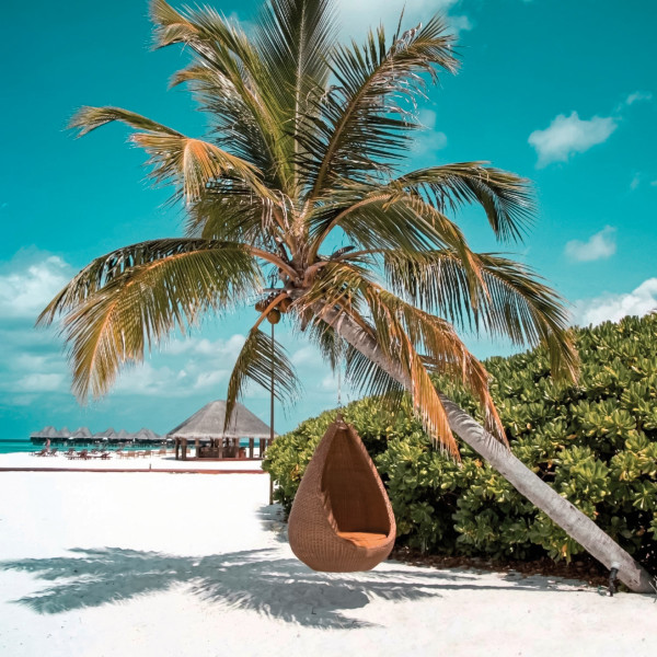 Coco Palm Dhuni Kolhu