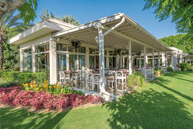 Lara Barut Collection