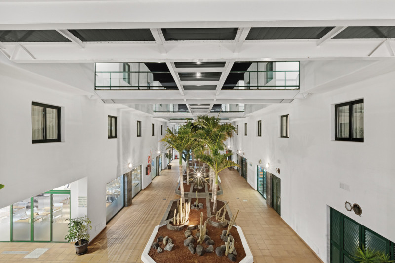 THB Flora