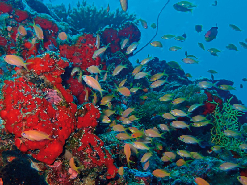 InterContinental Maldives Maamunagau Resort