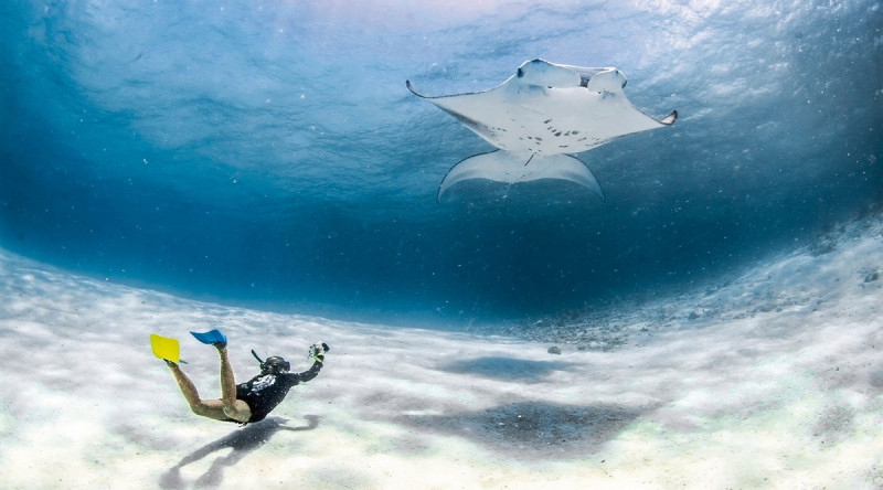 InterContinental Maldives Maamunagau Resort