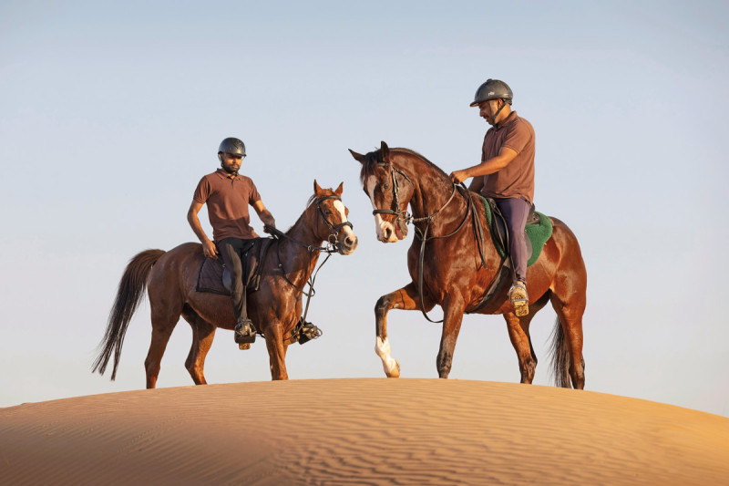 Al Maha, A Luxury Collection Desert Resort & Spa