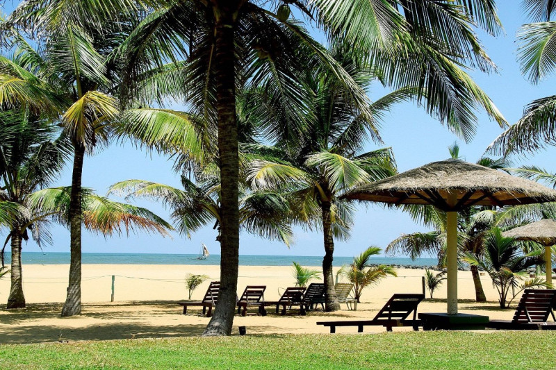 Goldi Sands