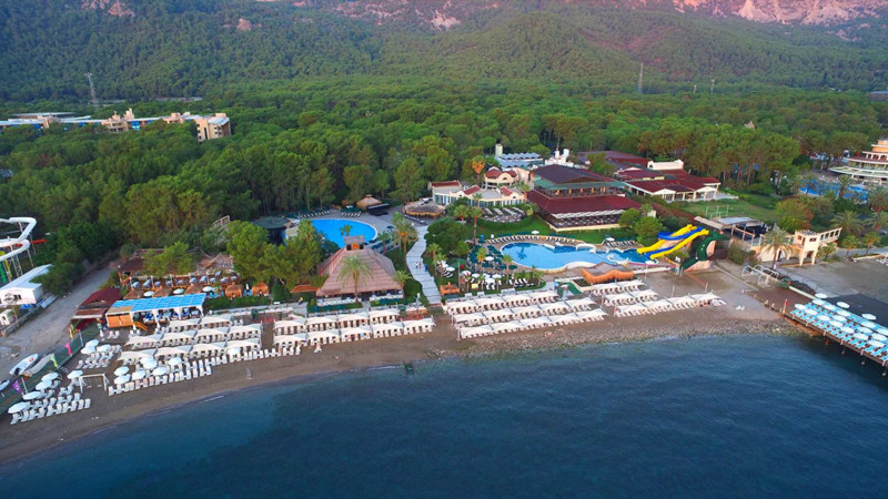 Gypsophila Club Marine