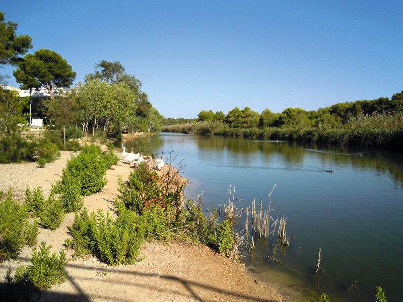 Universal Hotel Castell Royal