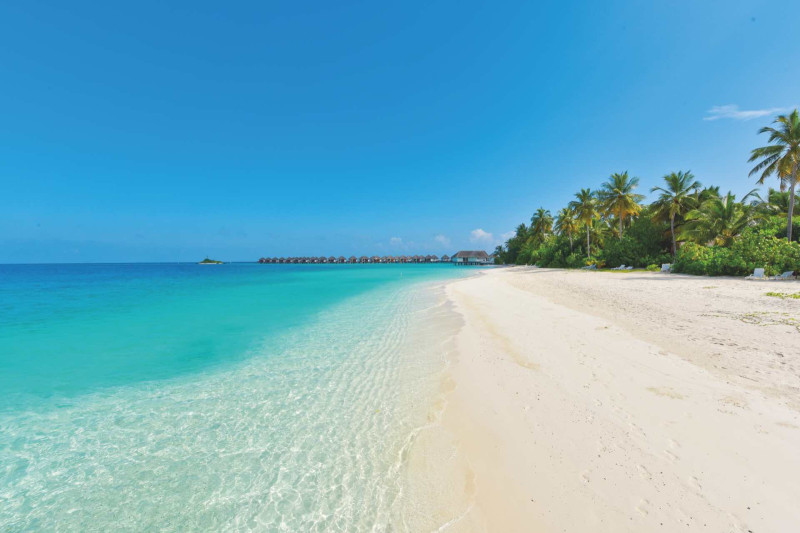 Safari Island Resort & Spa