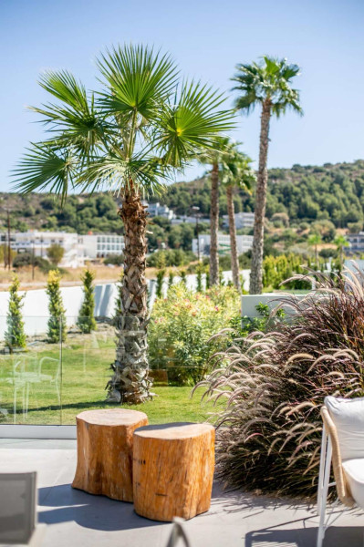 White Dreams Resort