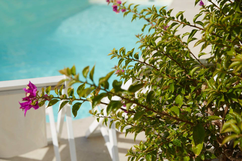 Mon Repos Palace operated by Ella Resorts