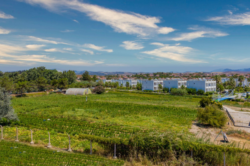 Labranda Lebedos Princess