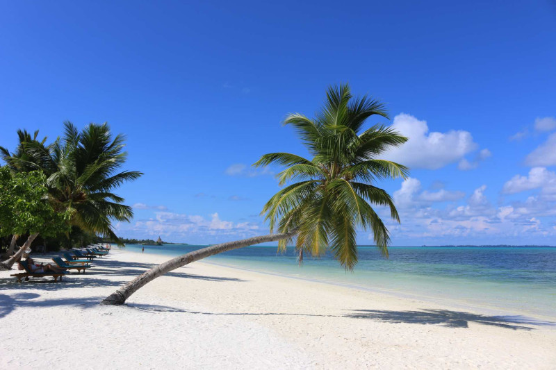Canareef Resort Maldives