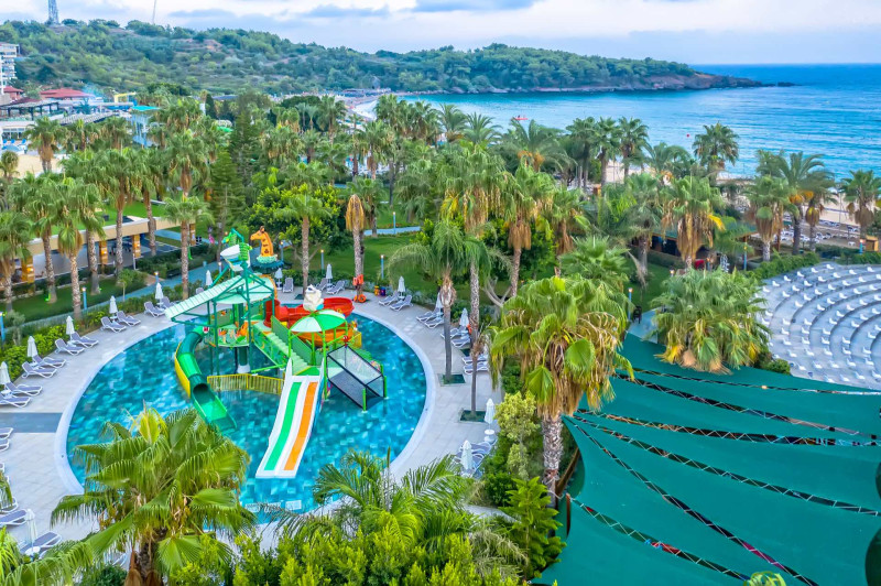 Leodikya Kirman Premium