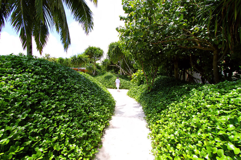 Park Hyatt Maldives Hadahaa