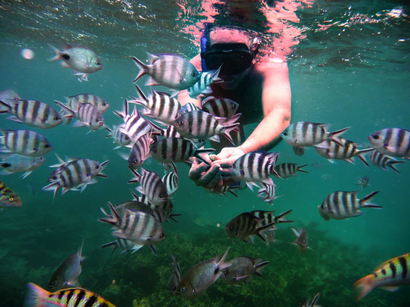 Sofitel SO Mauritius