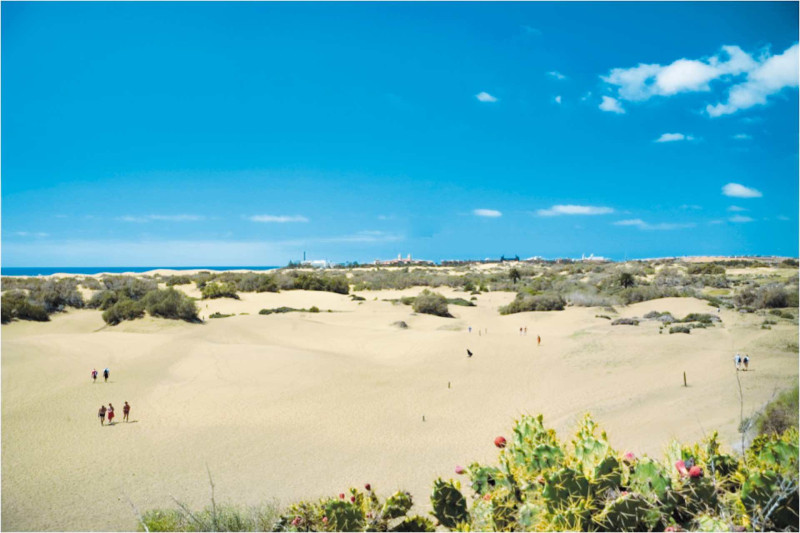 Las Arenas Appartements