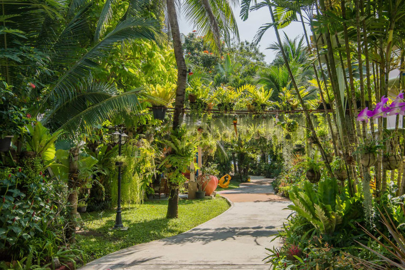 Matcha Samui Resort