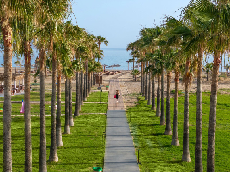 Delfina Tropic Beach