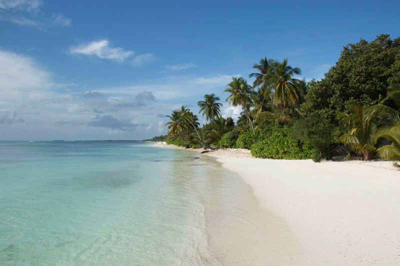 Canareef Resort Maldives